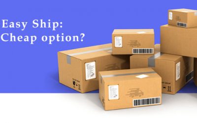 Amazon’s Easy Ship: Expensive or Cheap Option?